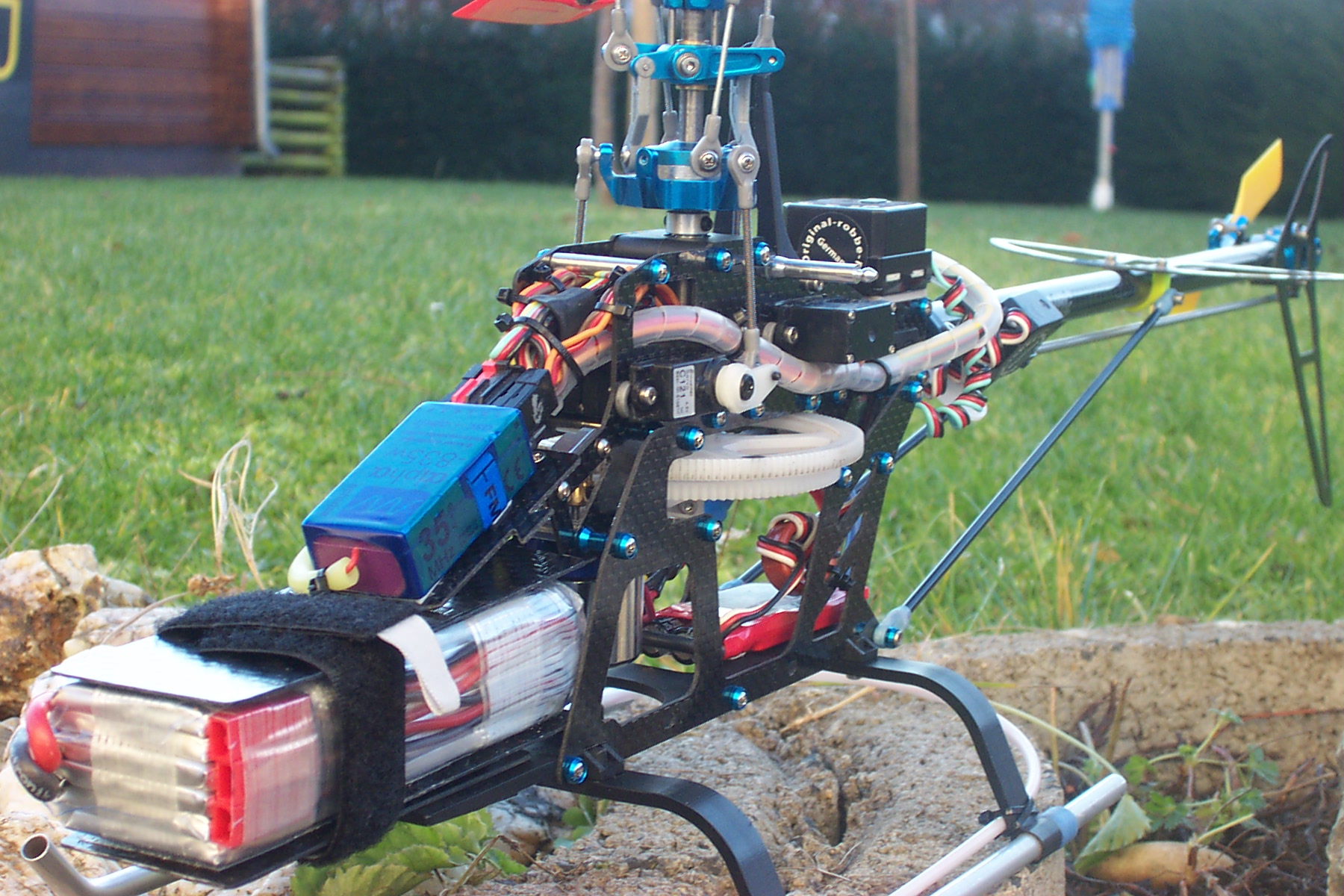 align carbon rex 012.jpg