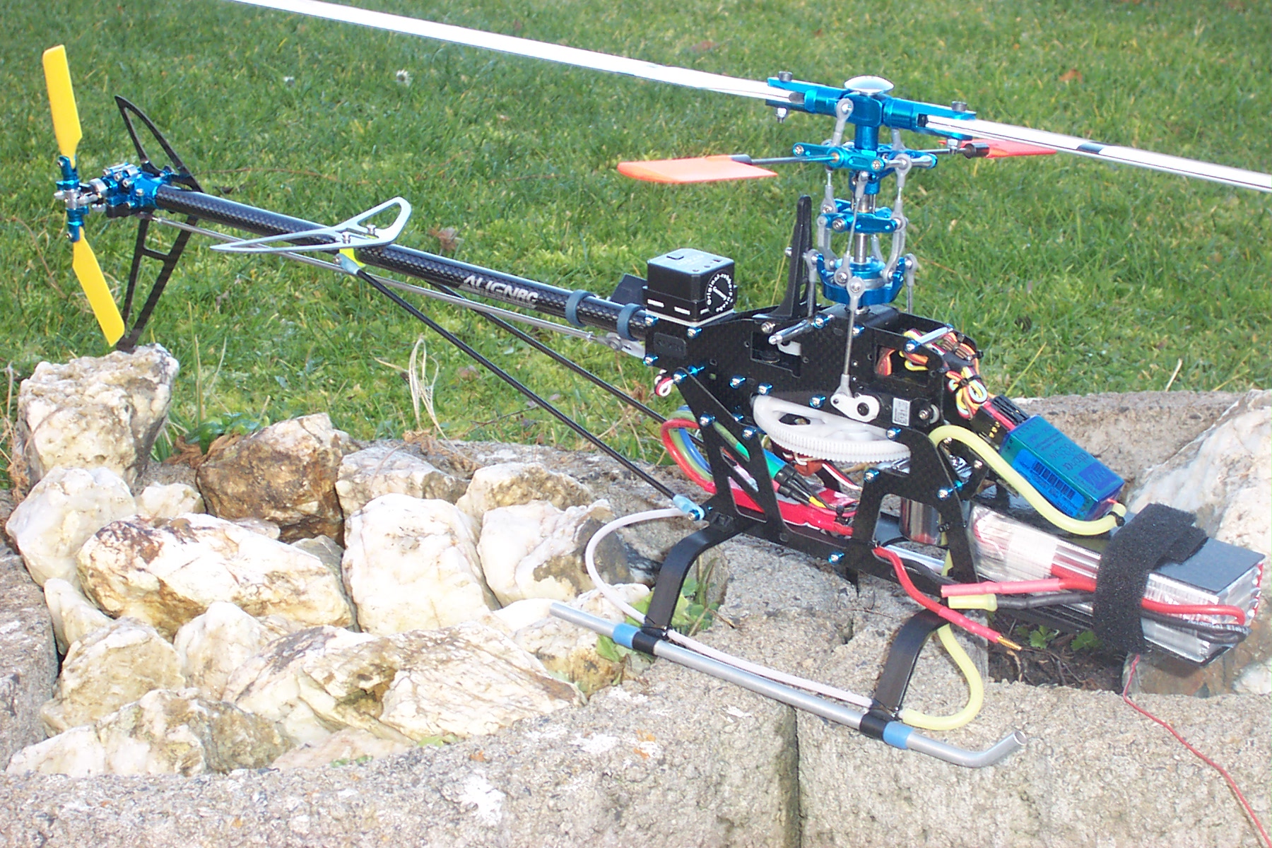 align carbon rex 015.jpg