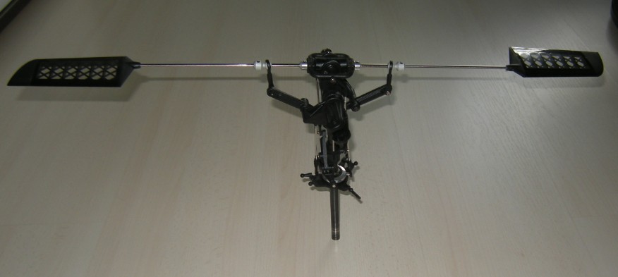 Paddelkopf1.jpg