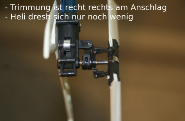 Bild 45.jpg
