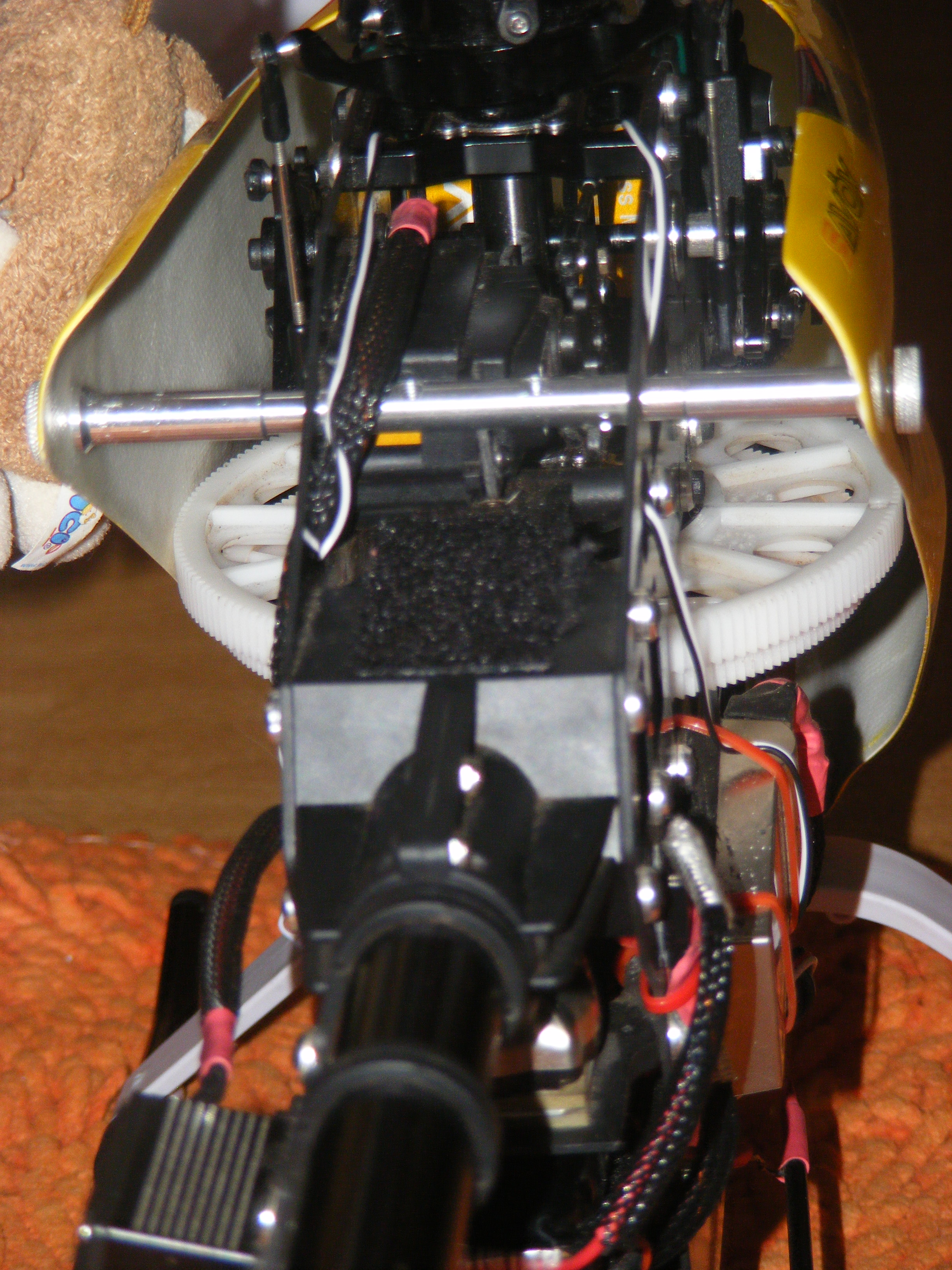 von hinten, macht eine gute figur!