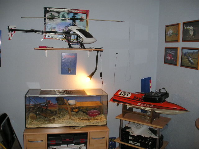 Regal: Logo16... da drunter: Terrarium mit 3 Degus :D in der ecke hinter dem Reck: Fläche vom Coyote auf dem Reck: Altes Speed-Boot mit 10ccm'er auf dem Boot: Mein Sender :D