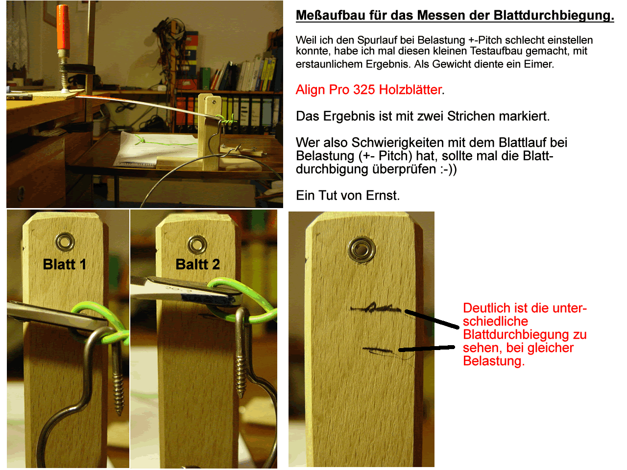 Blattdurchbigung.gif