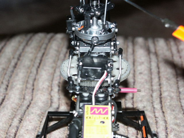 PICT1118.JPG