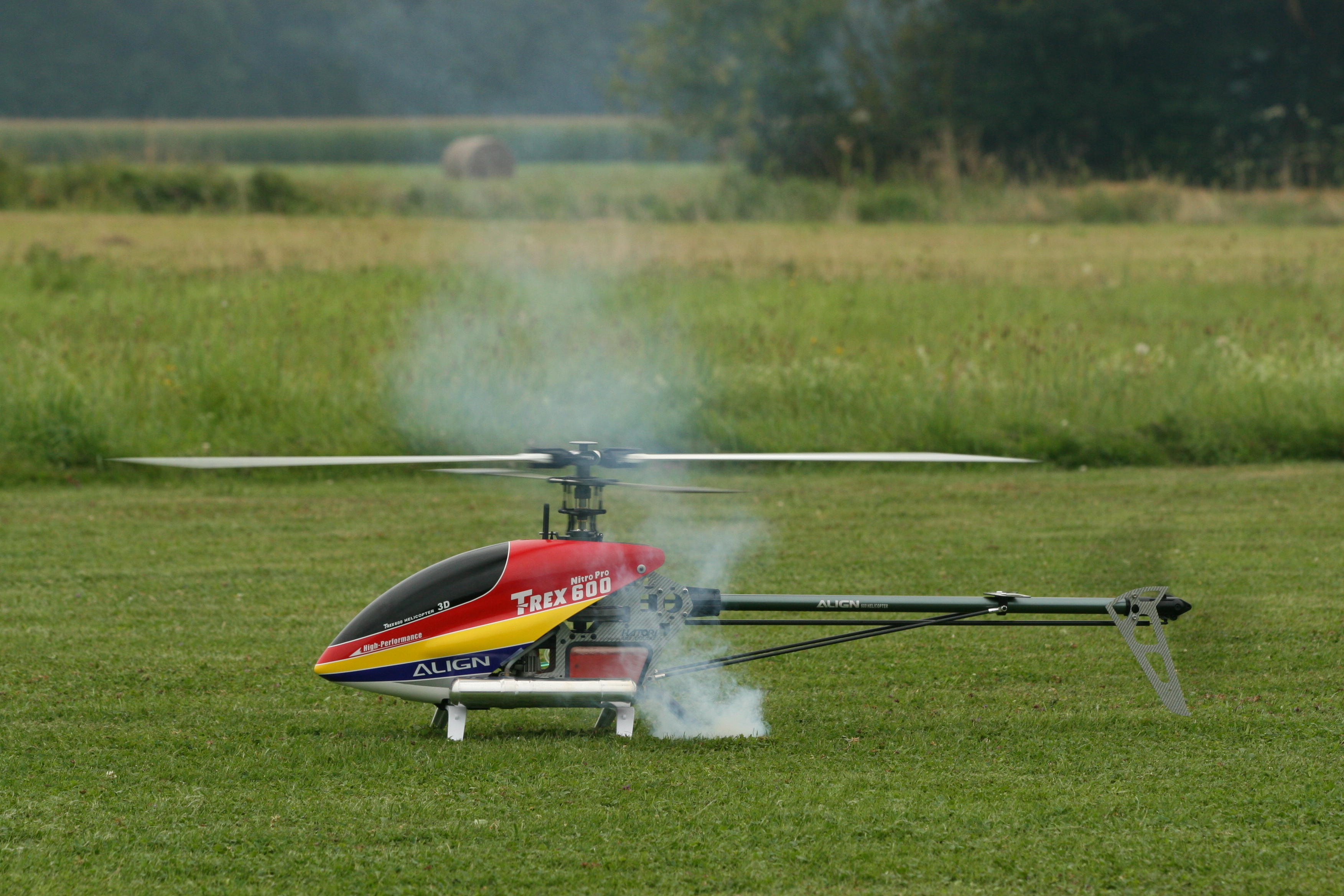 IMG_6354.JPG