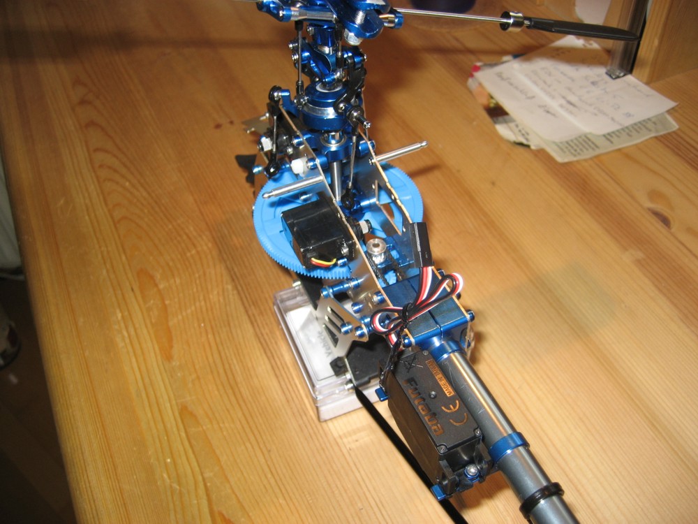IMG_1581 klein.jpg