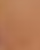 Bild_burgi.jpg