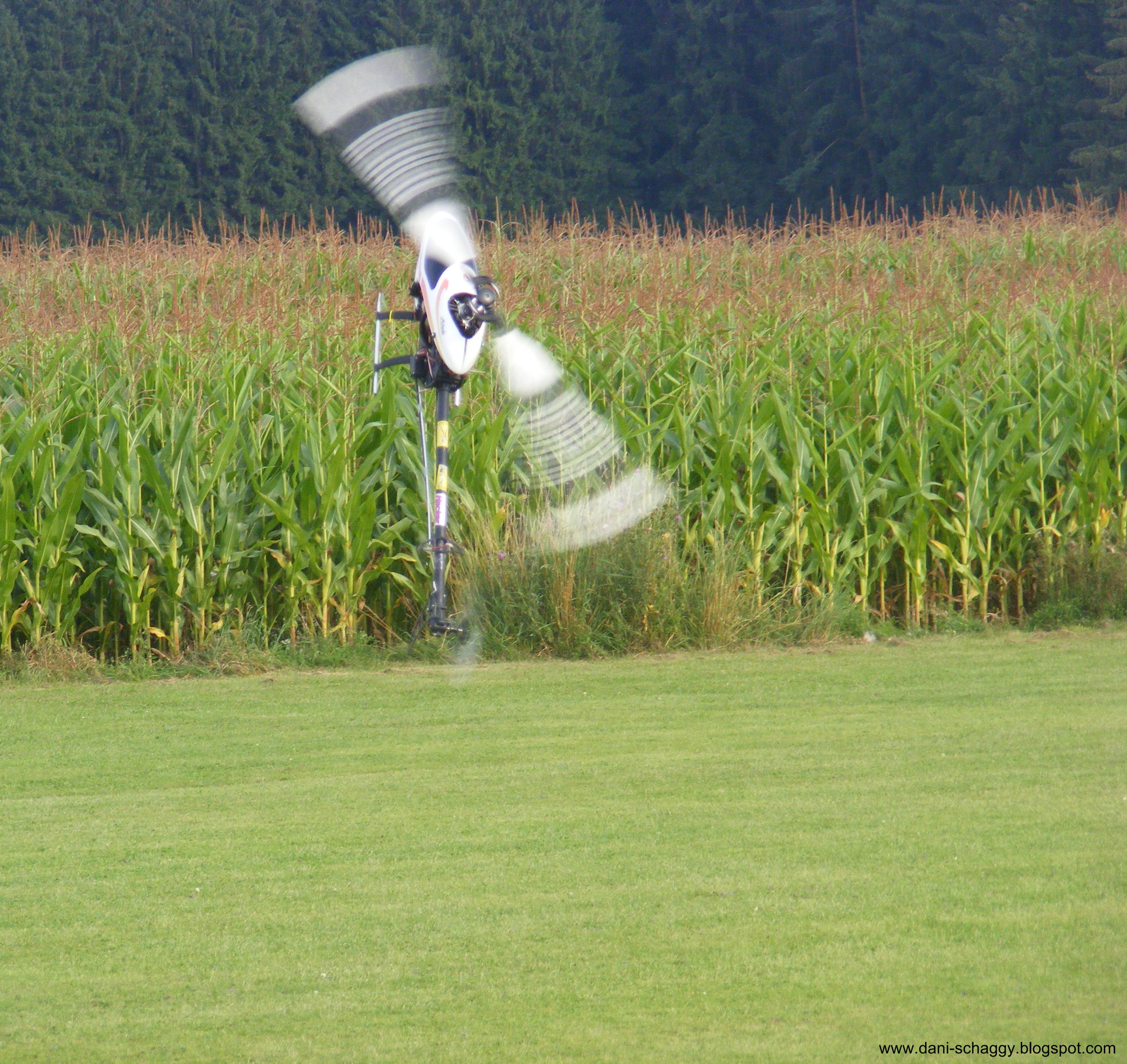 DSCF7400fd.jpg