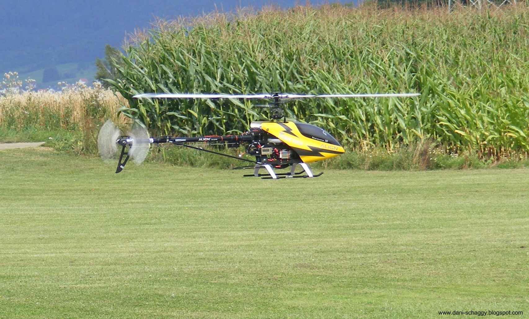 DSCF7548sssww.jpg