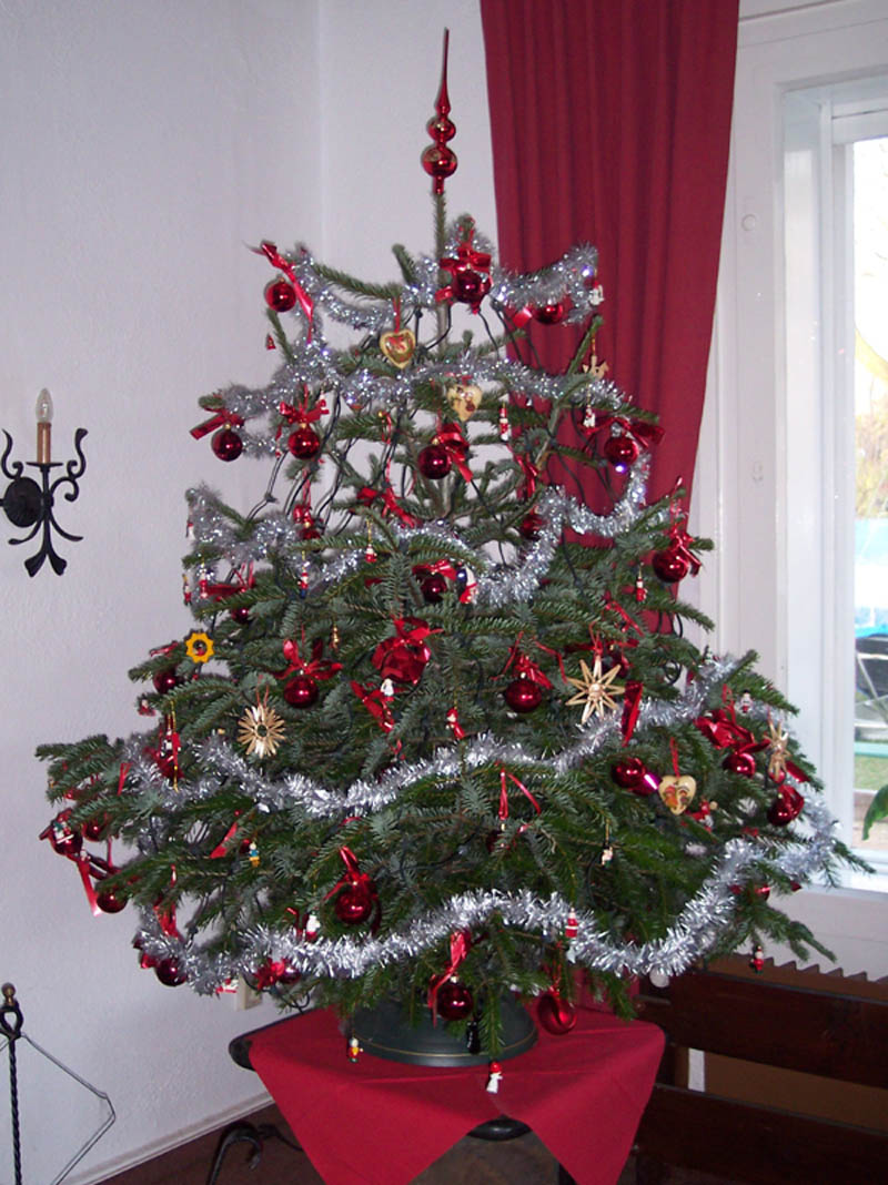 mischa, so sieht ein Weihnachtsbaum aus