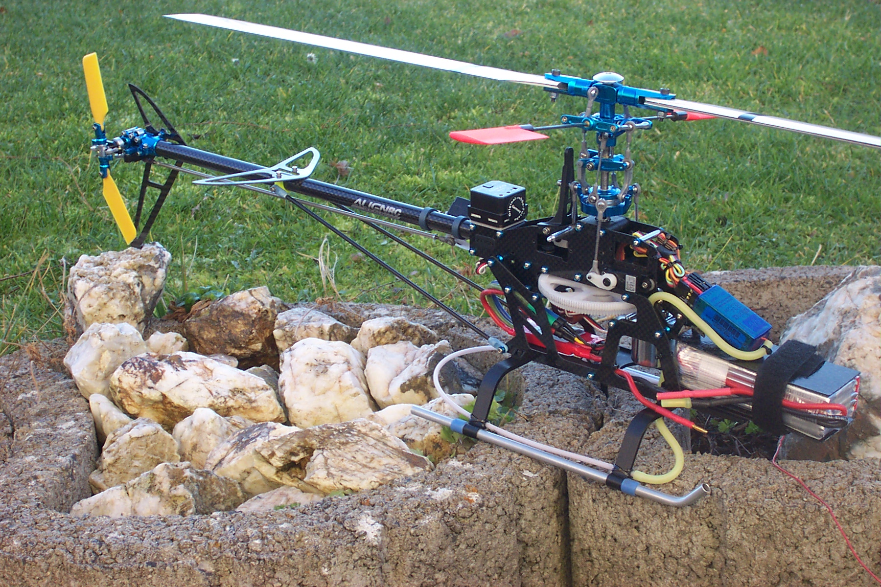 align carbon rex 014.jpg