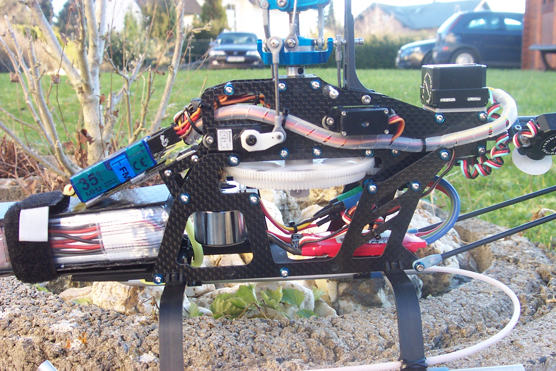 align carbon rex 010.jpg