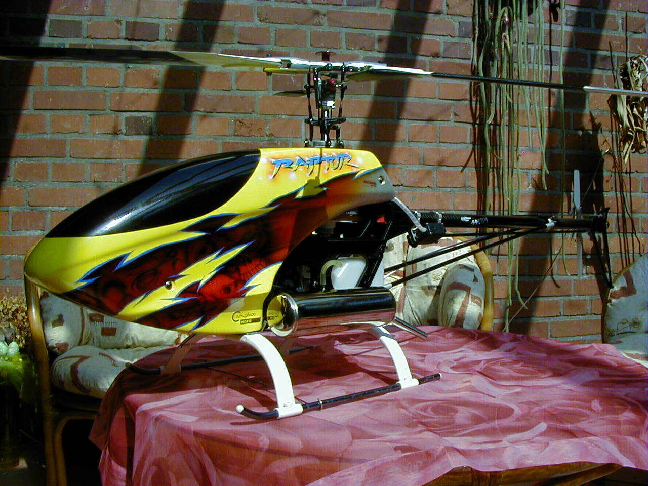 P1010135.JPG