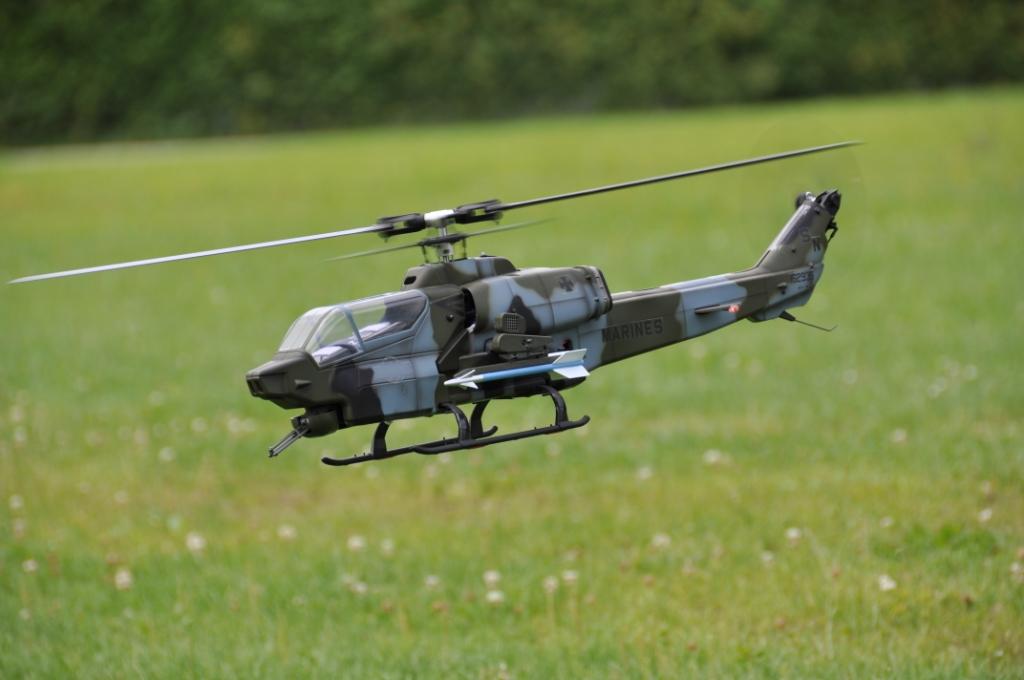 Cobra1.jpg