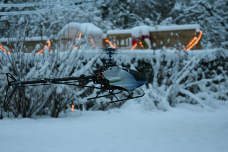 Kopie von IMG_7645.jpg