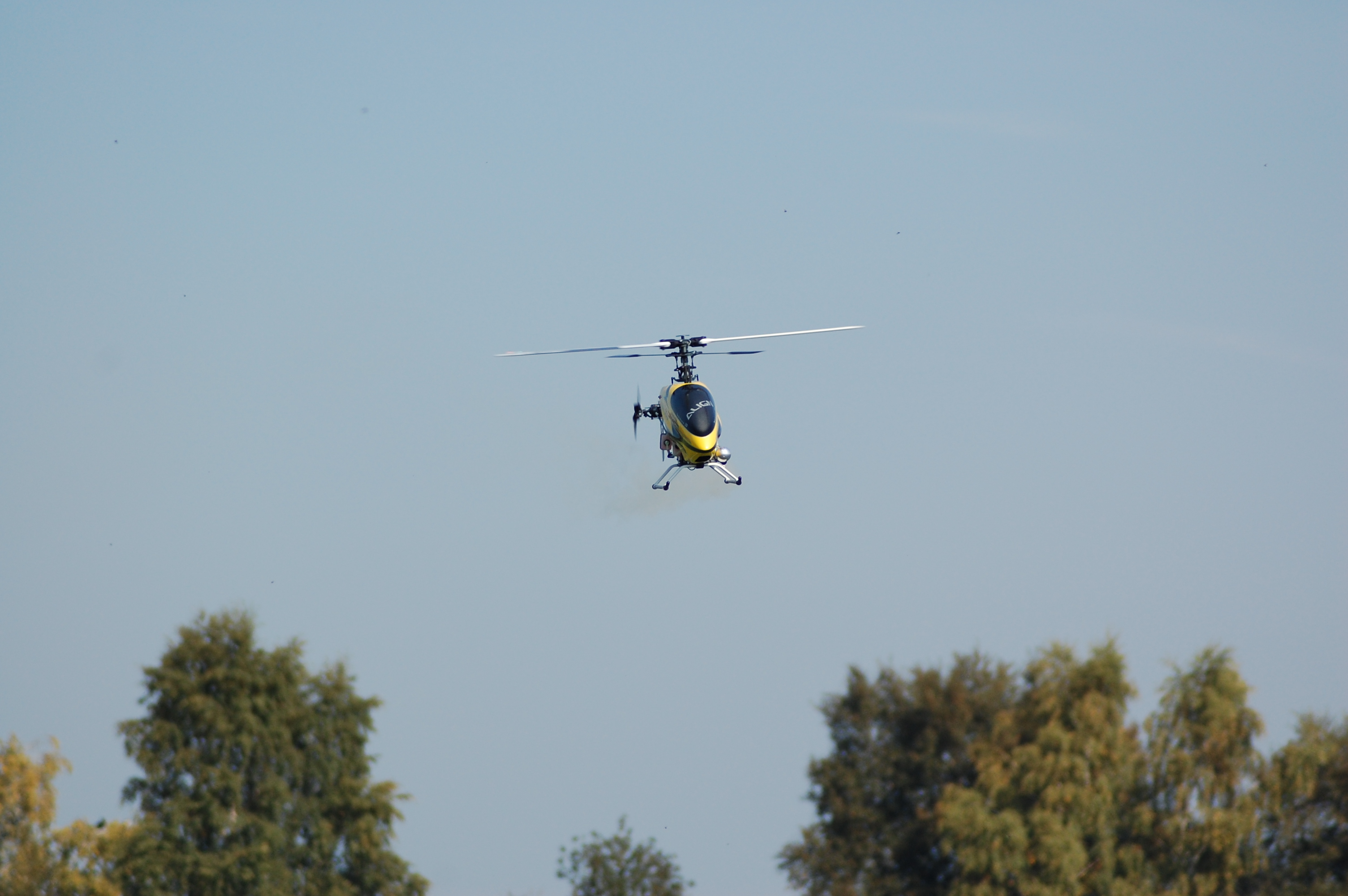 DSC_0237.JPG