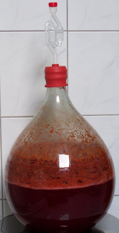 Blub-Blub-Blub-... mein Pflaumenwein, 1-2 Tage vor dem abpressen der Maische