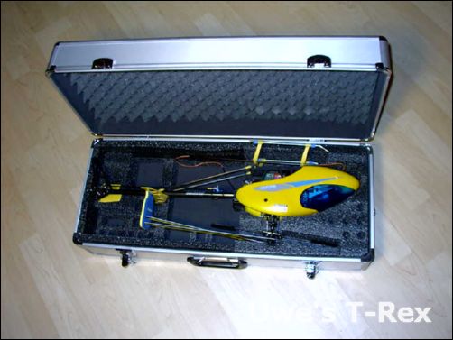 T-Rex (13).jpg