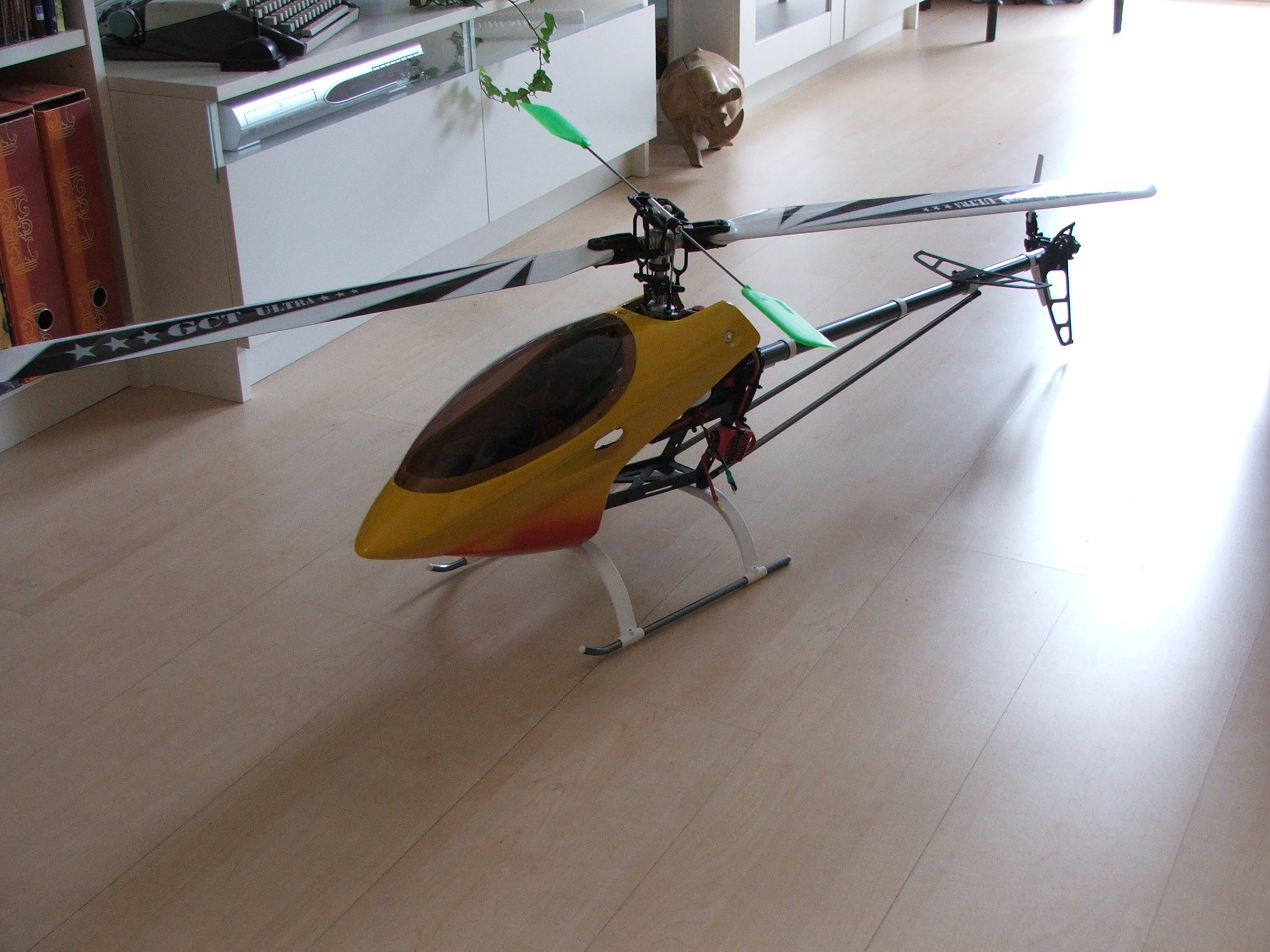 Raptor620.JPG