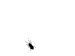 bbkaefer.gif