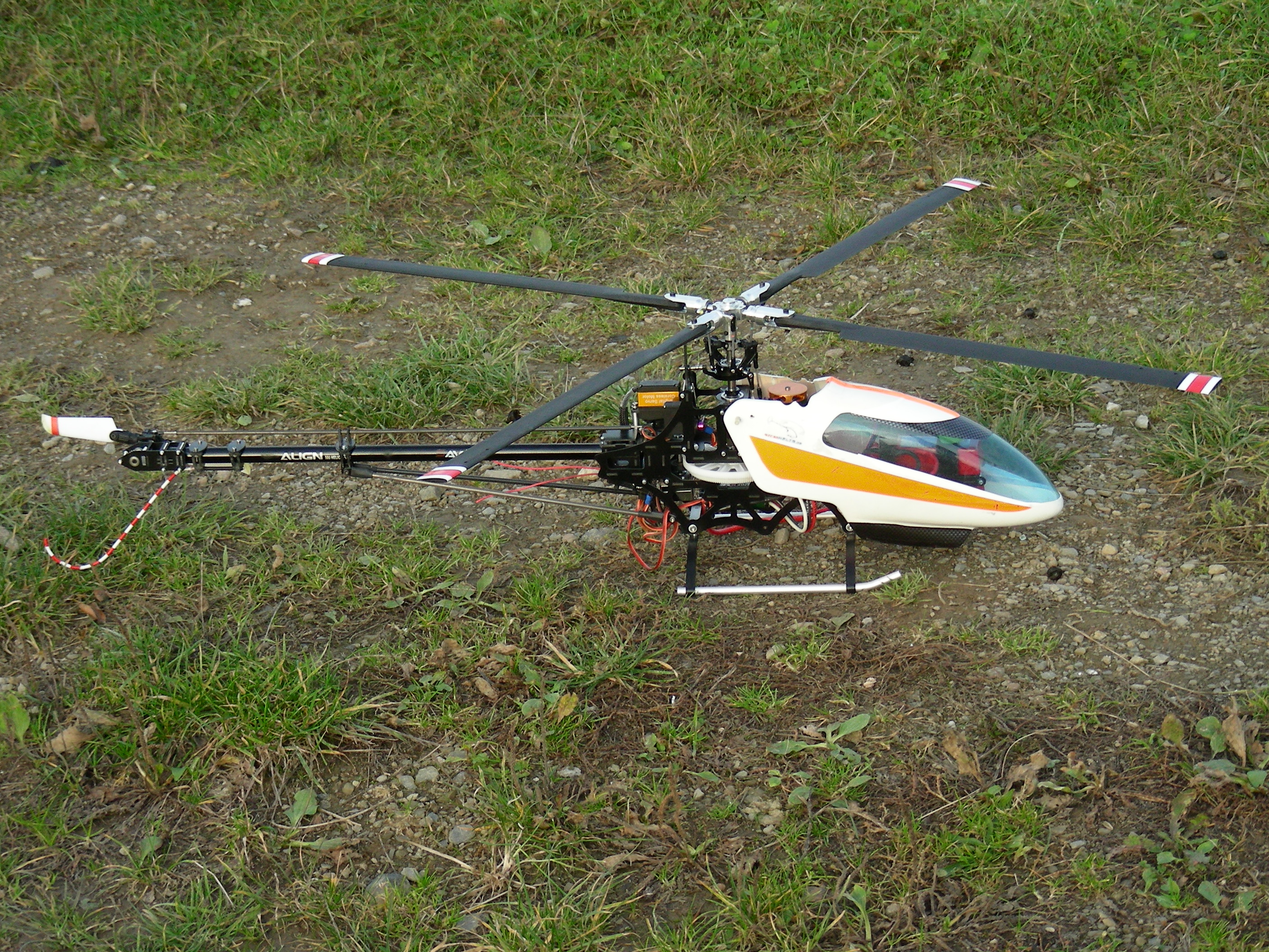 DSCN9826.JPG