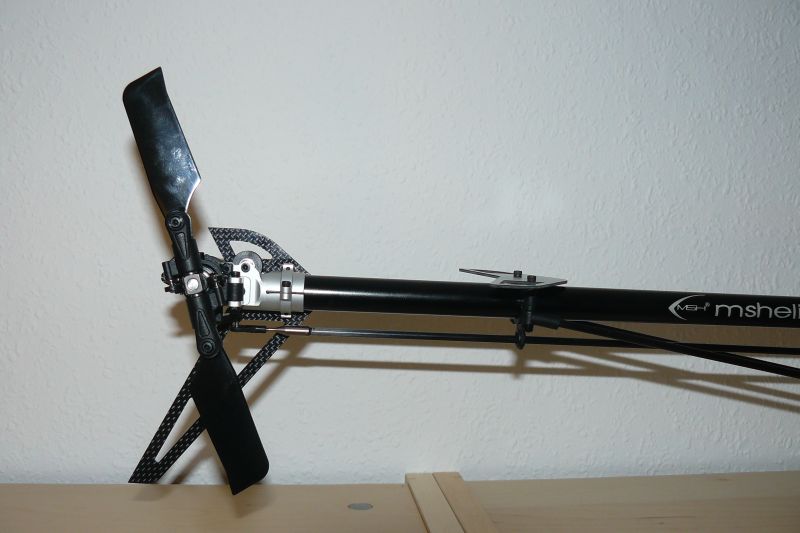 Protos11.JPG