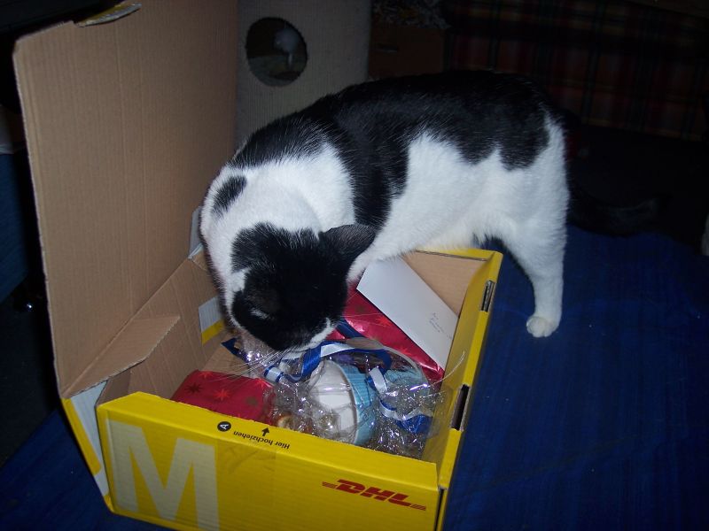 &quot;Alles meins!&quot;