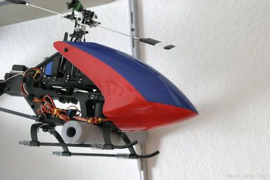 Protöse mit neuer Haube.jpg