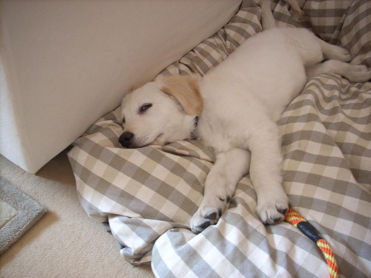 DSCN0431.JPG