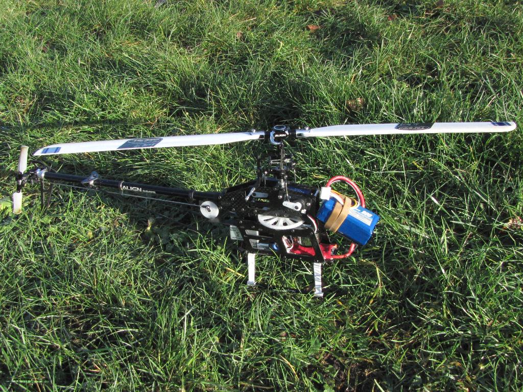 T-Rex250FBL_01.jpg