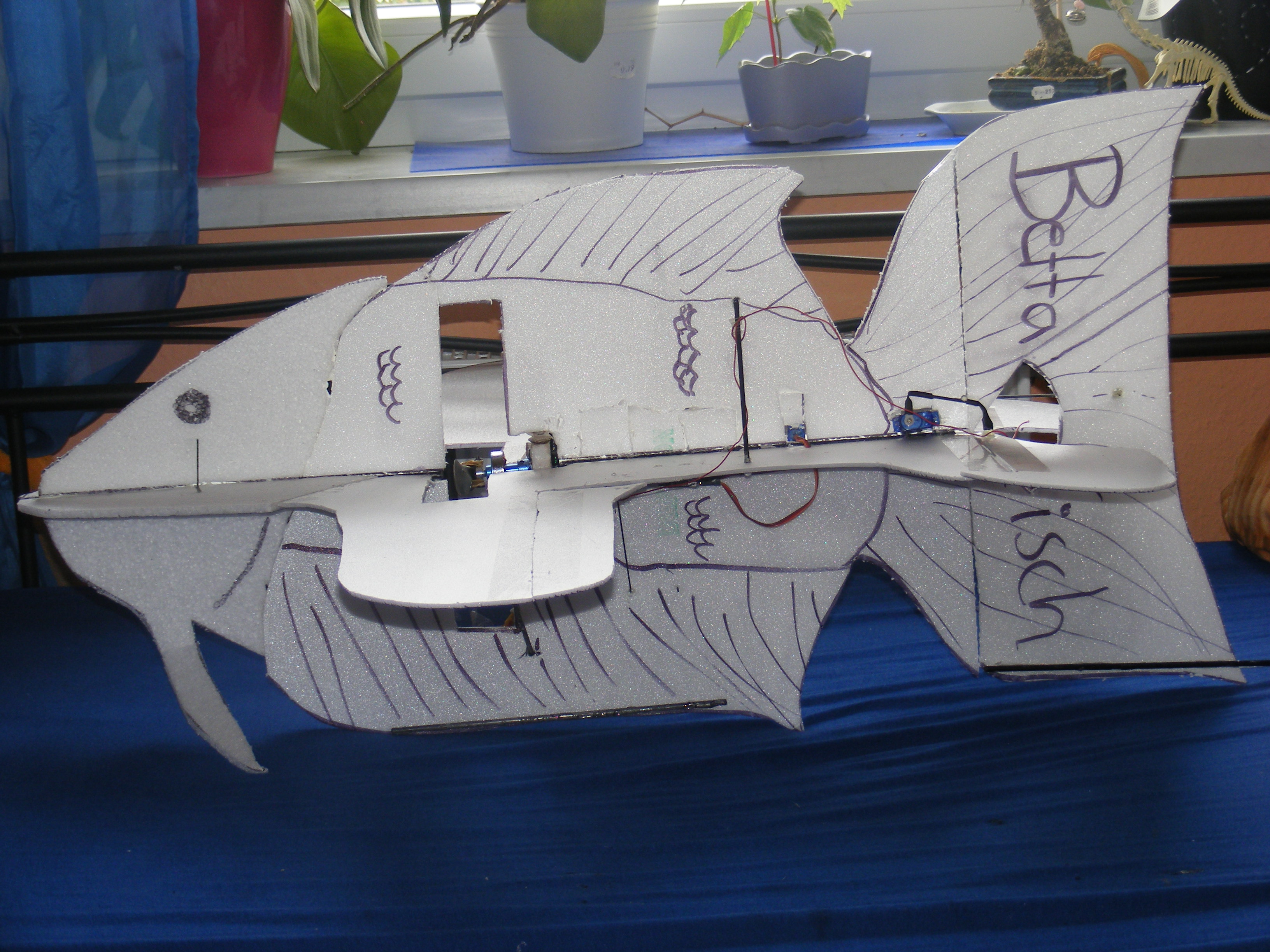 DSCF4039.JPG