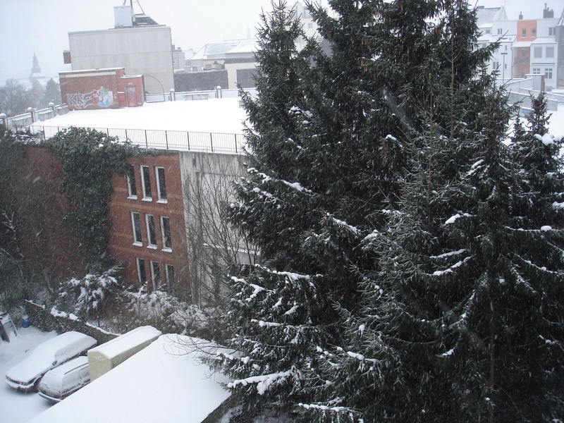 DSC06698-1.jpg