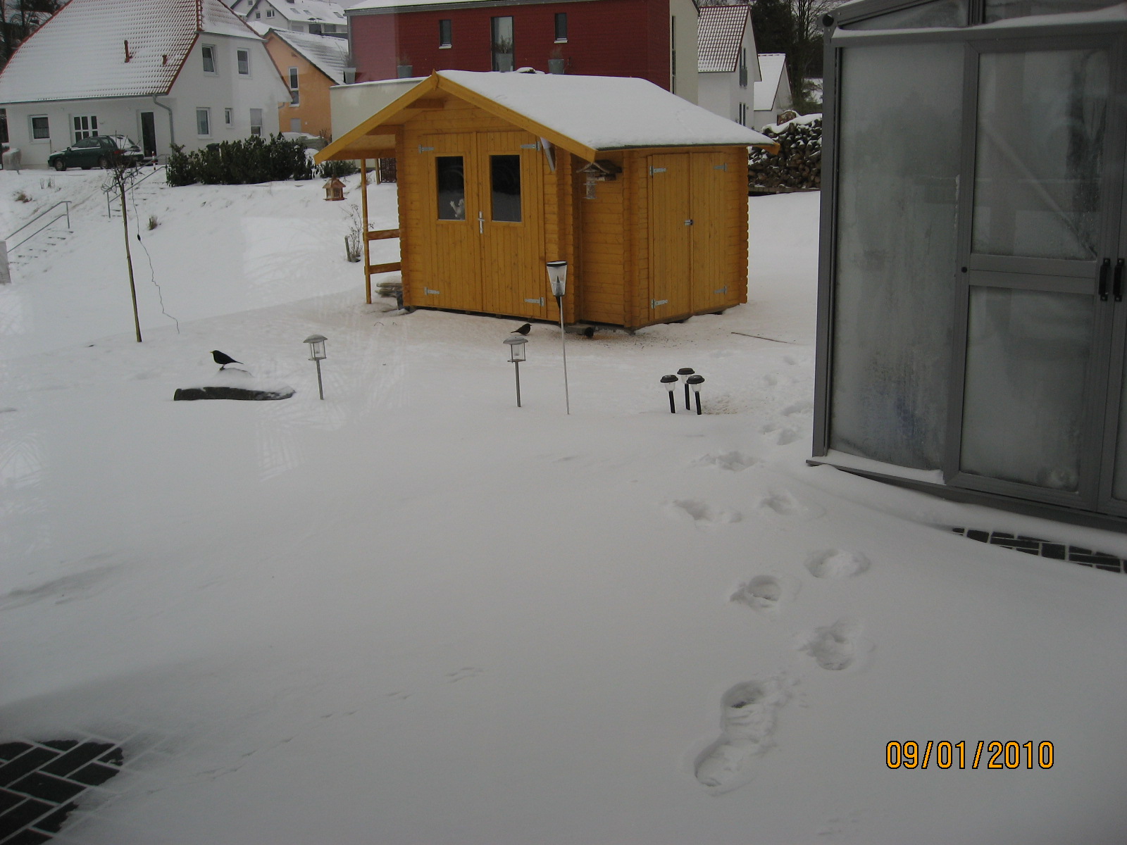 IMG_1674.JPG