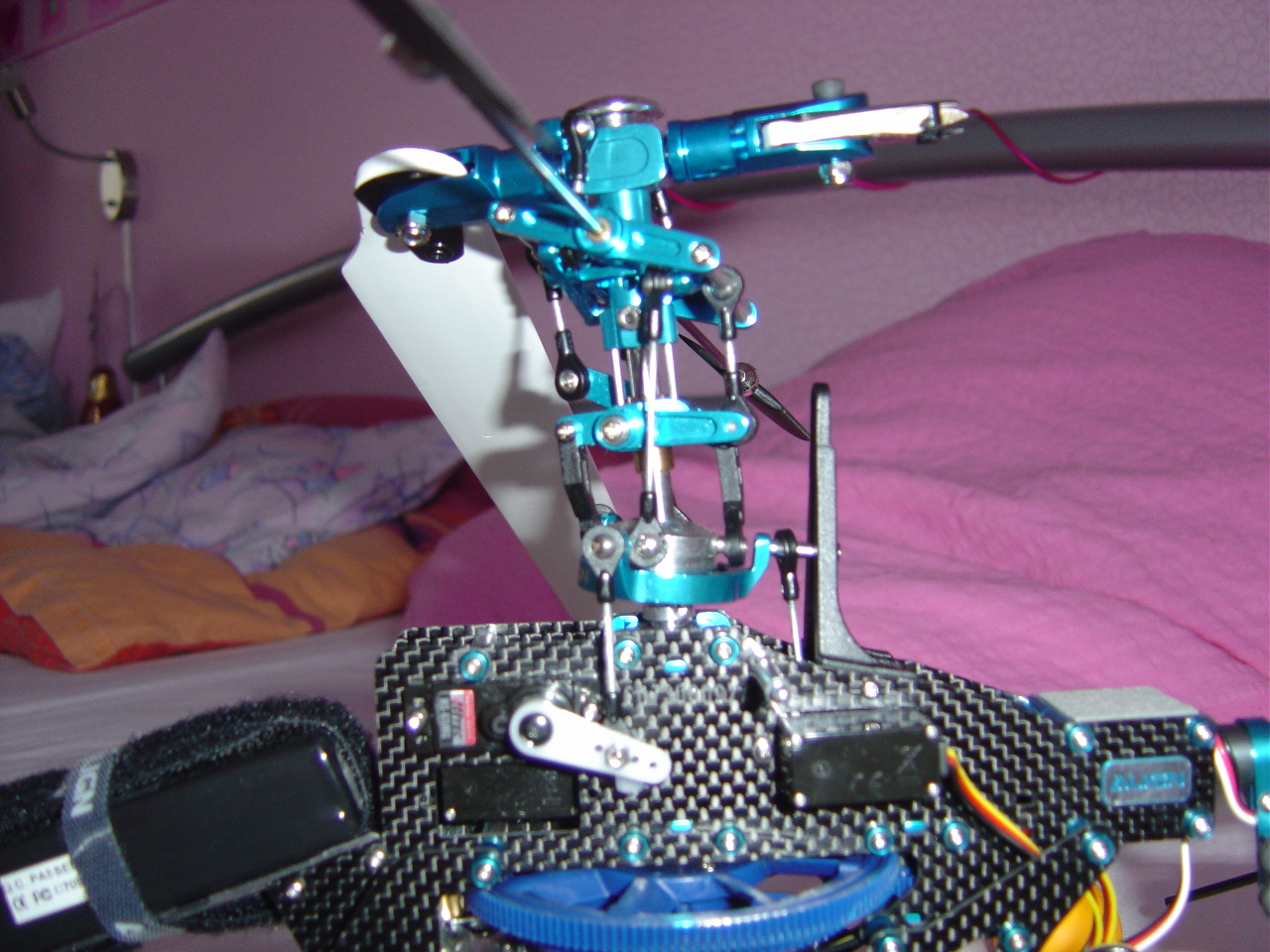 DSC00101.JPG