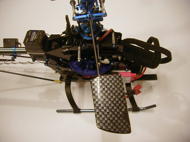 armin rex 033.jpg
