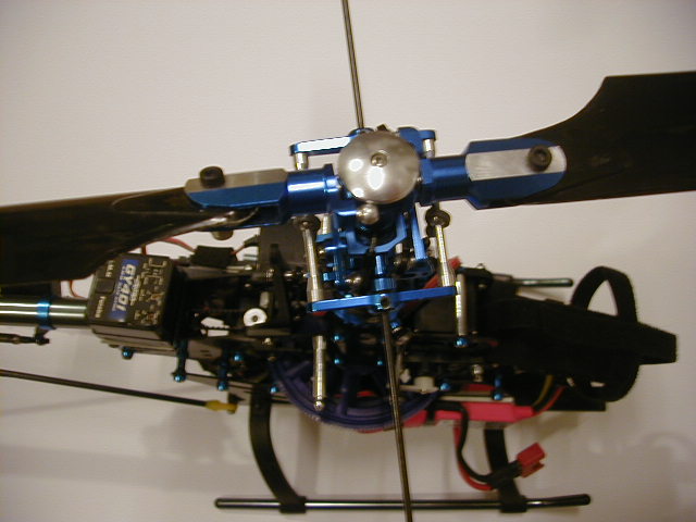 armin rex 034.jpg