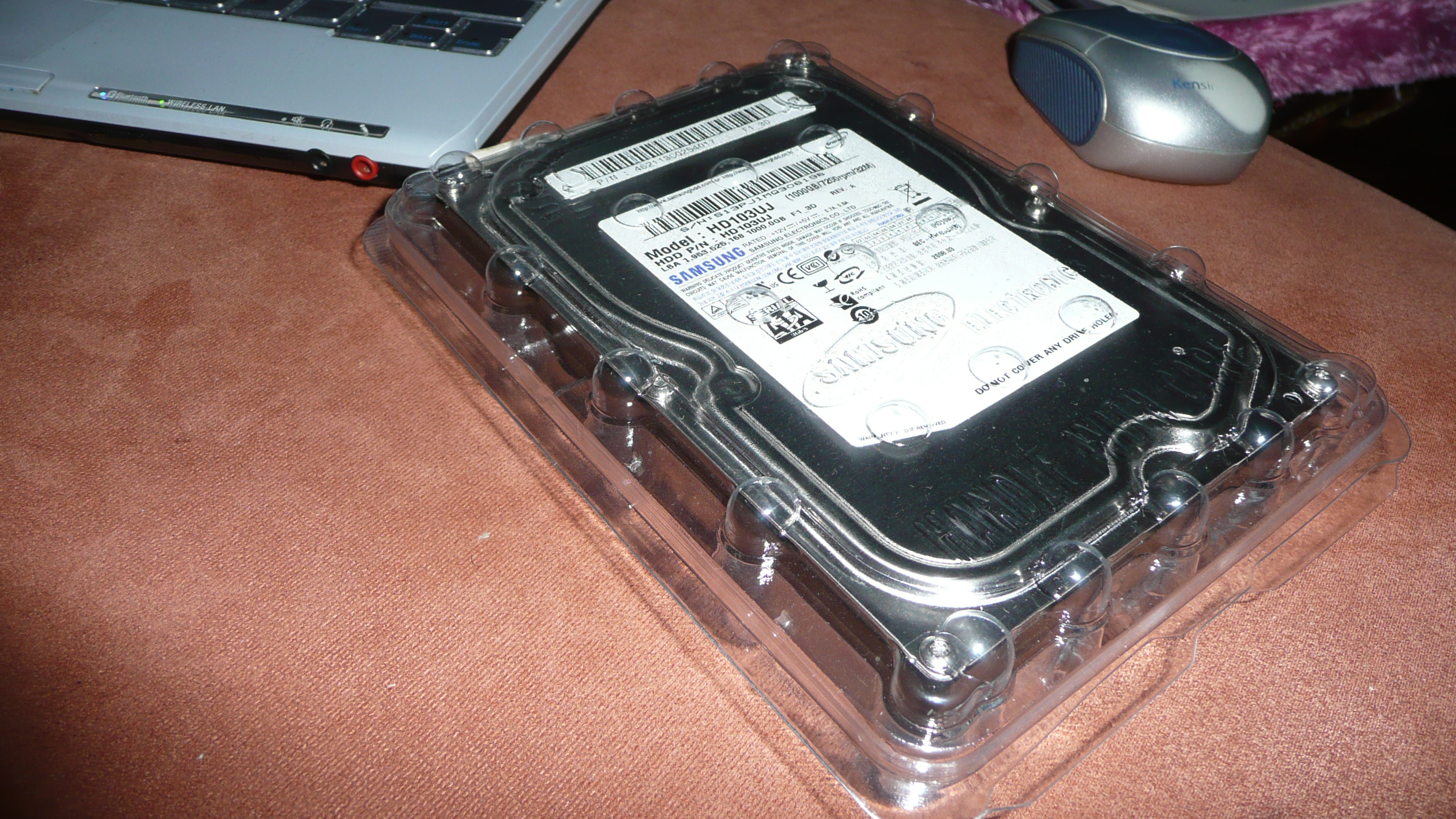 P1110166.JPG