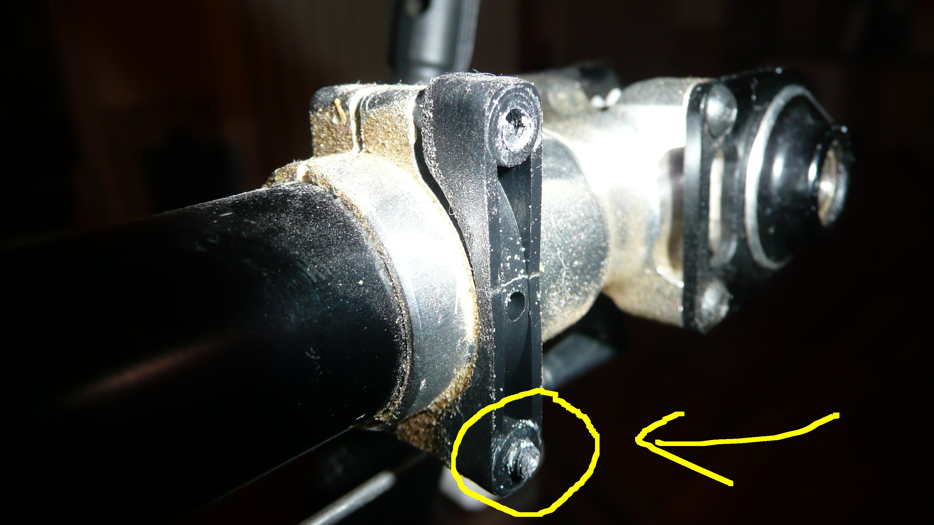 P1110176_1.JPG
