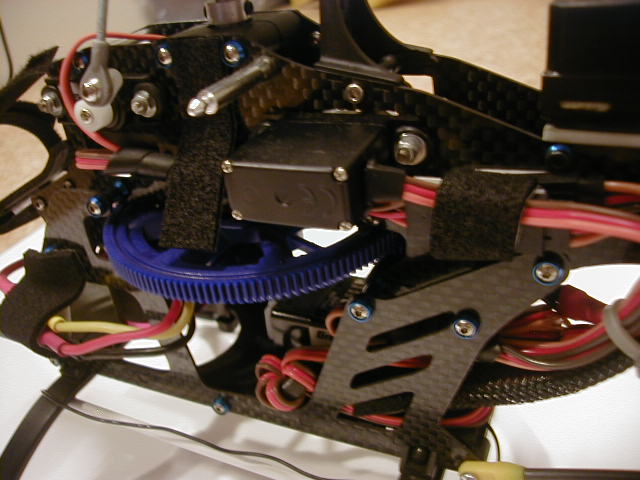 armin rex 037.jpg