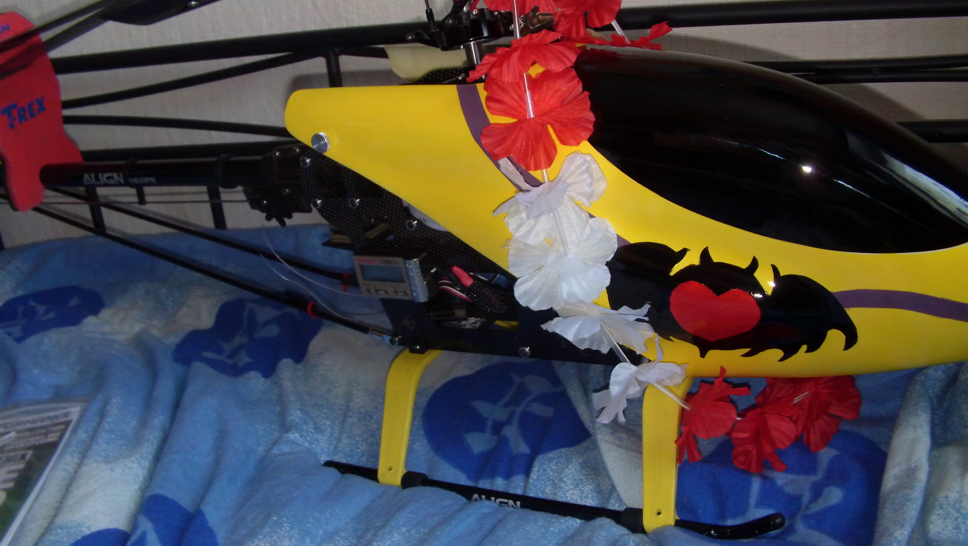 DVCI0010.JPG