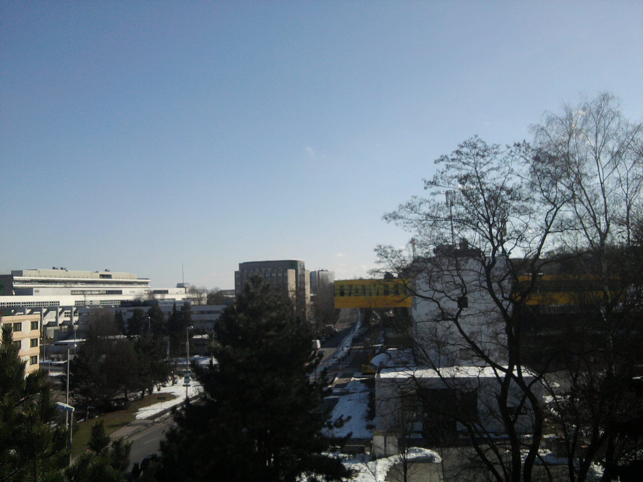 Foto0320.jpg