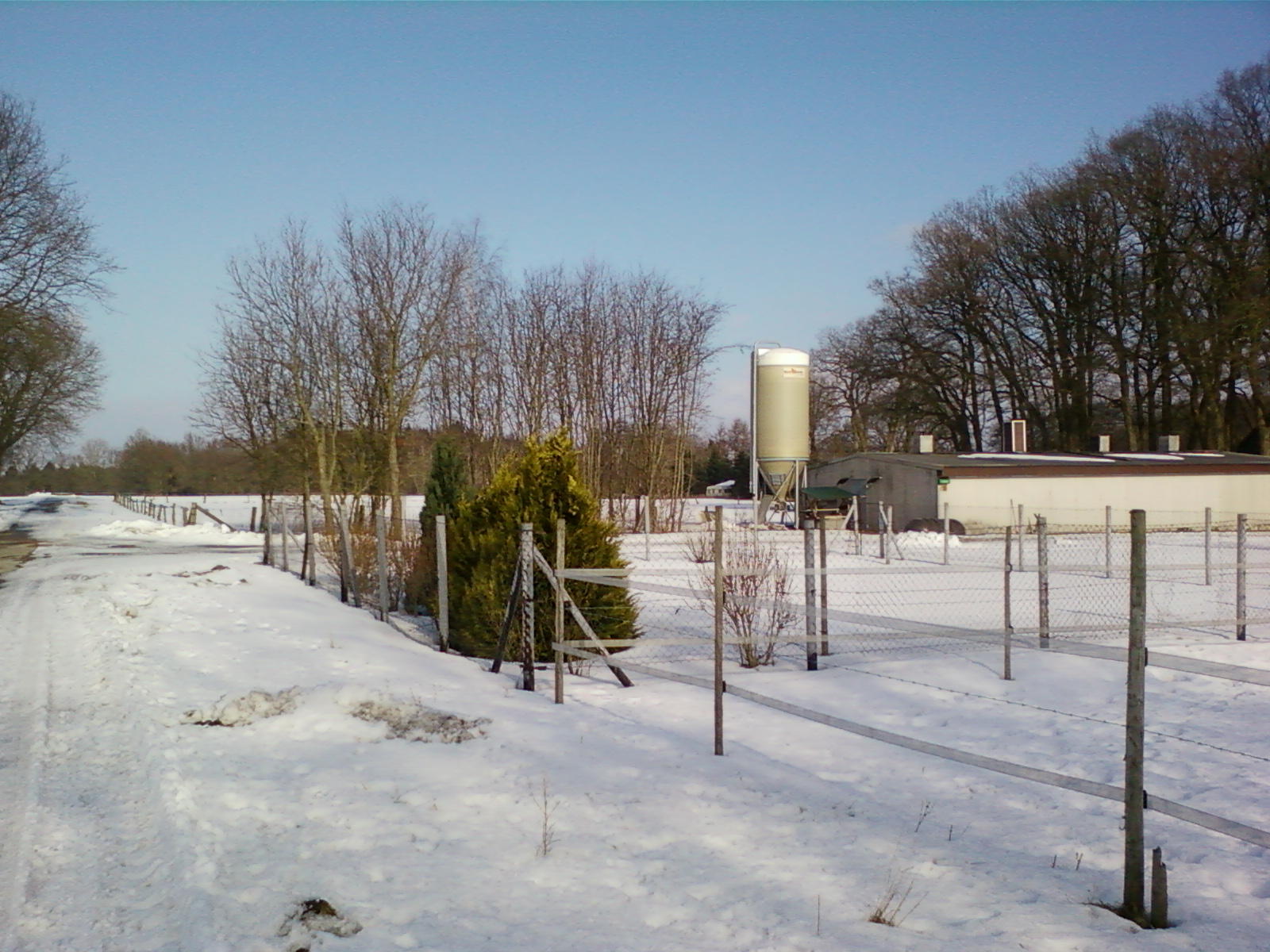Flugwiese3.jpg