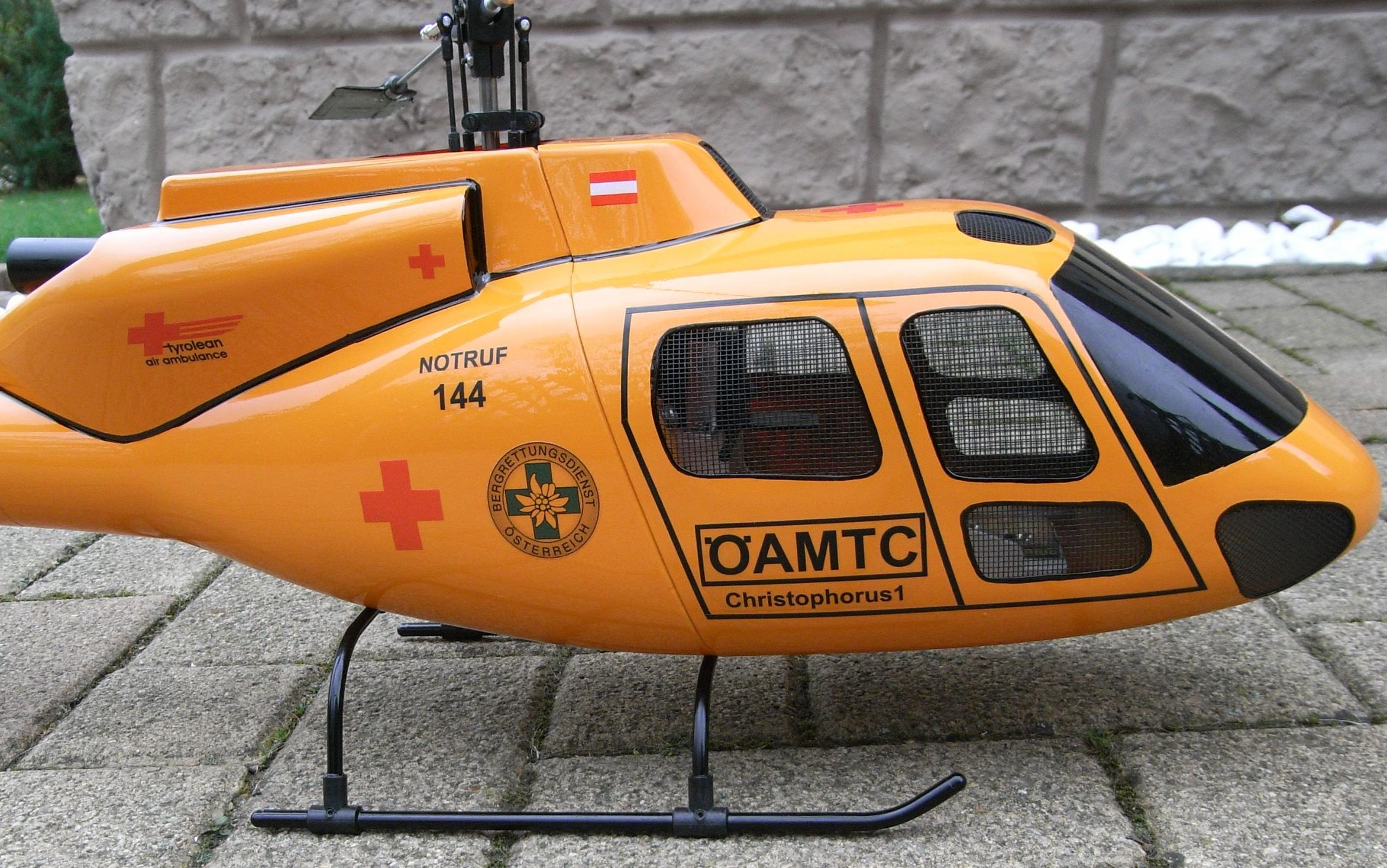 ecureuil-2.JPG