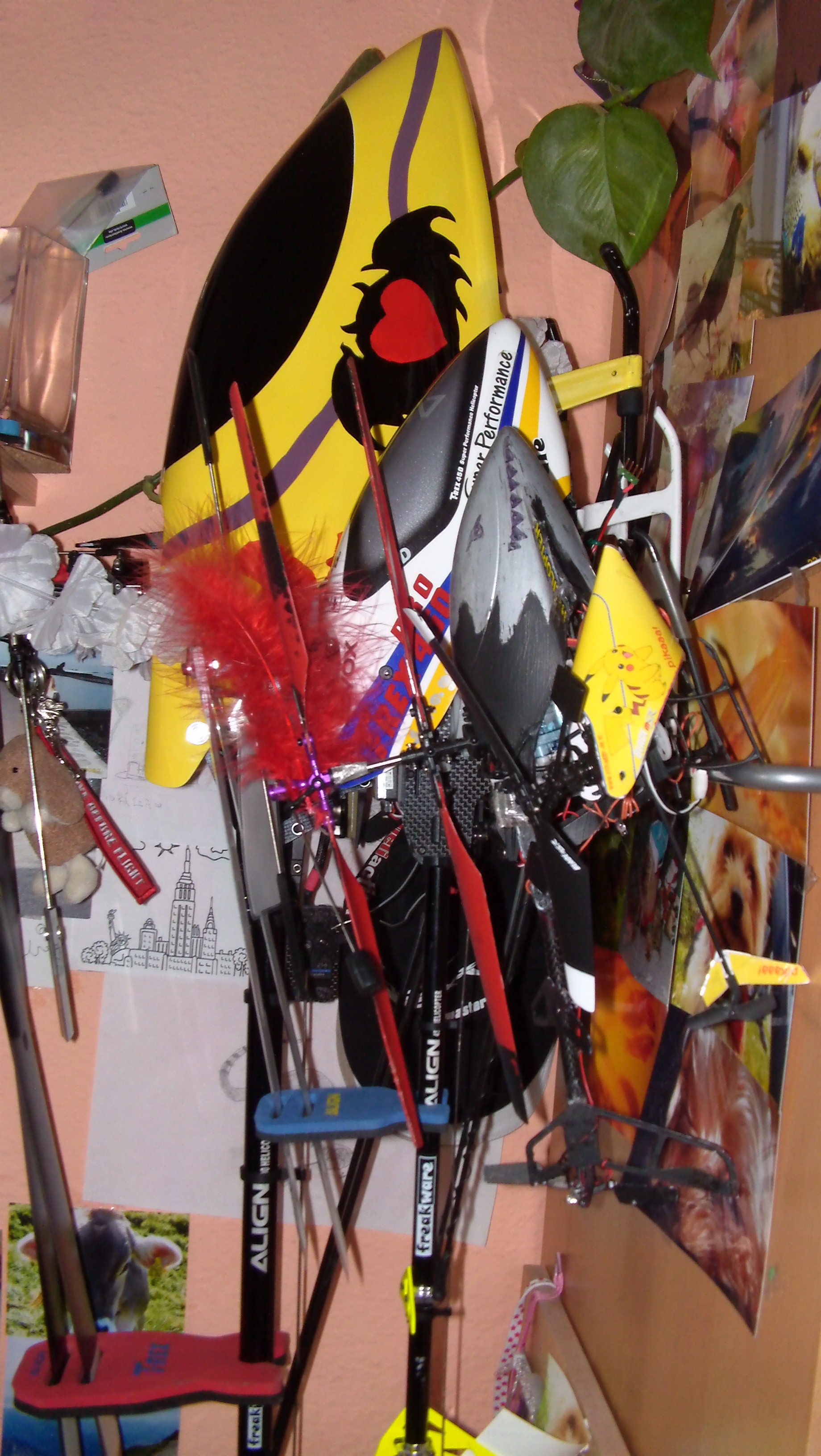 DVCI0030.JPG