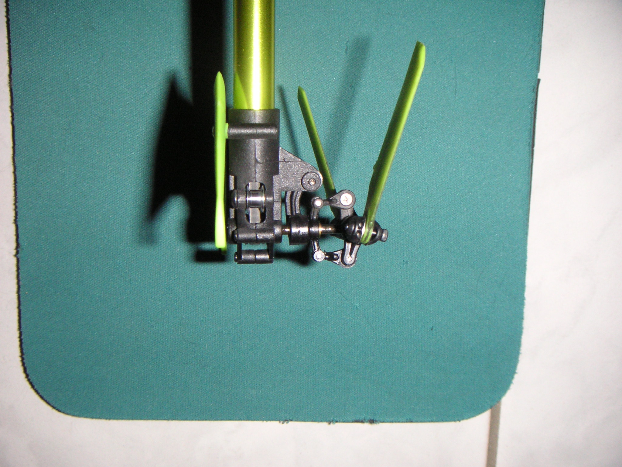 PICT0115.JPG