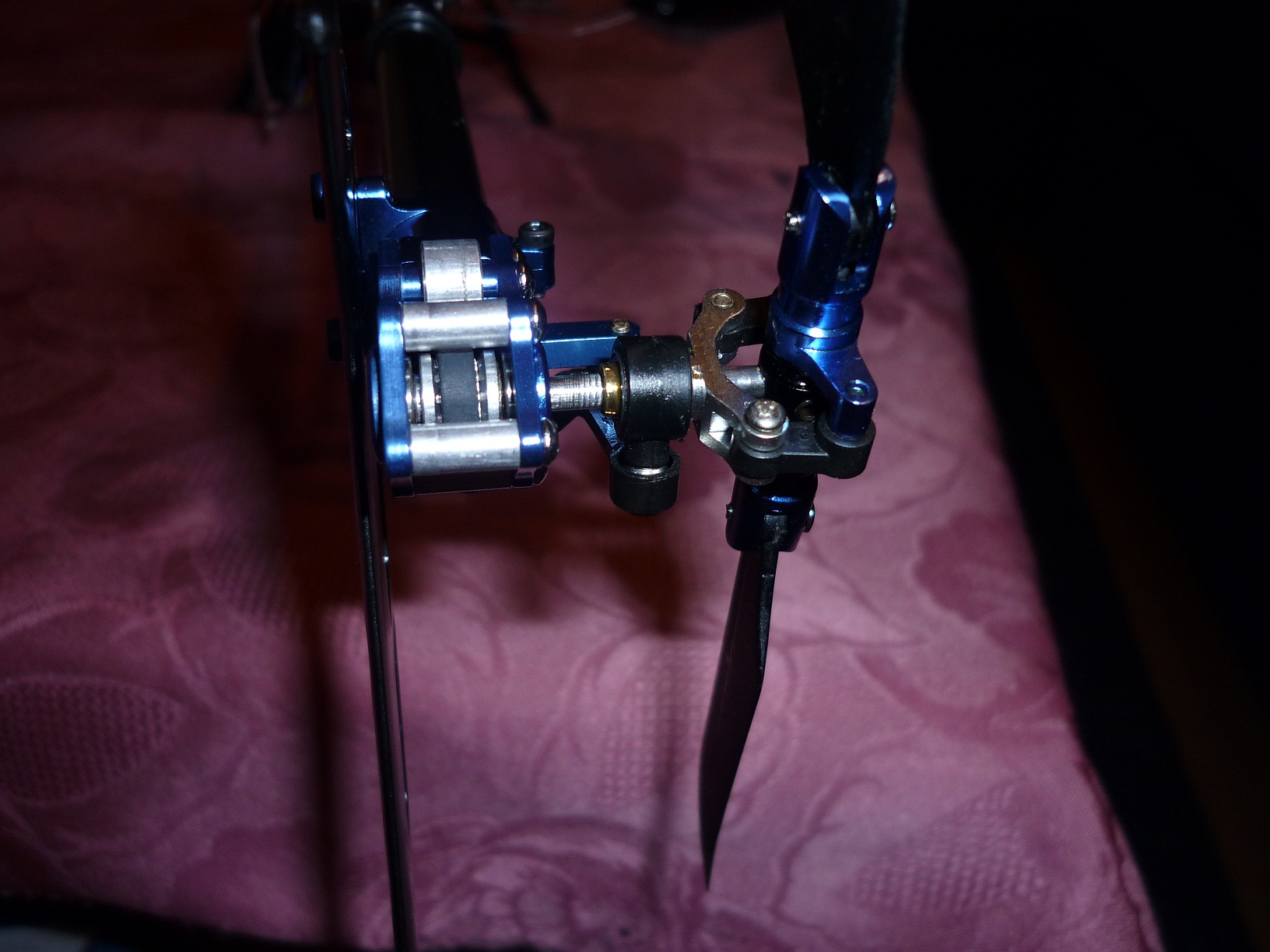 P1000745.JPG