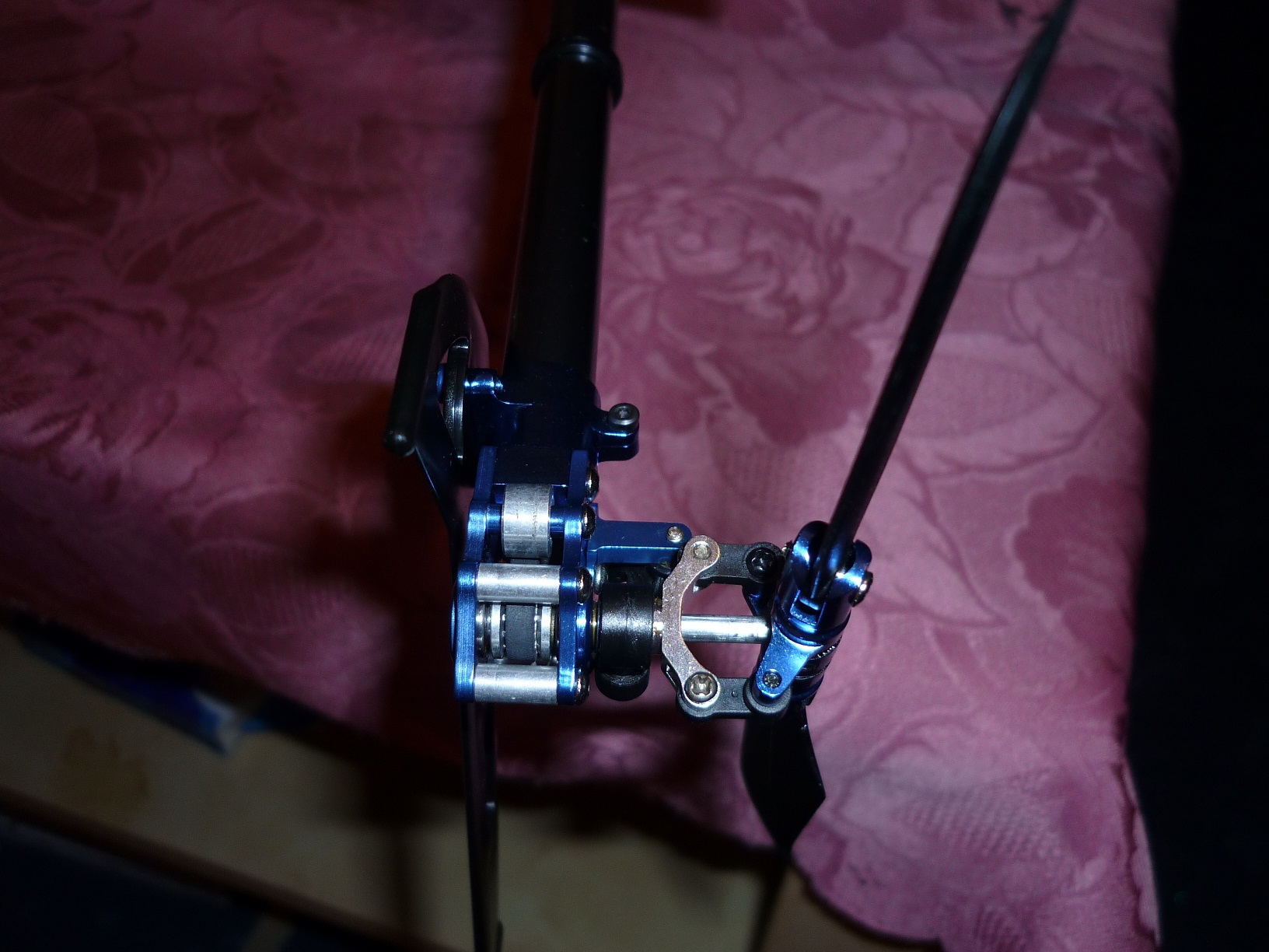 P1000747.JPG
