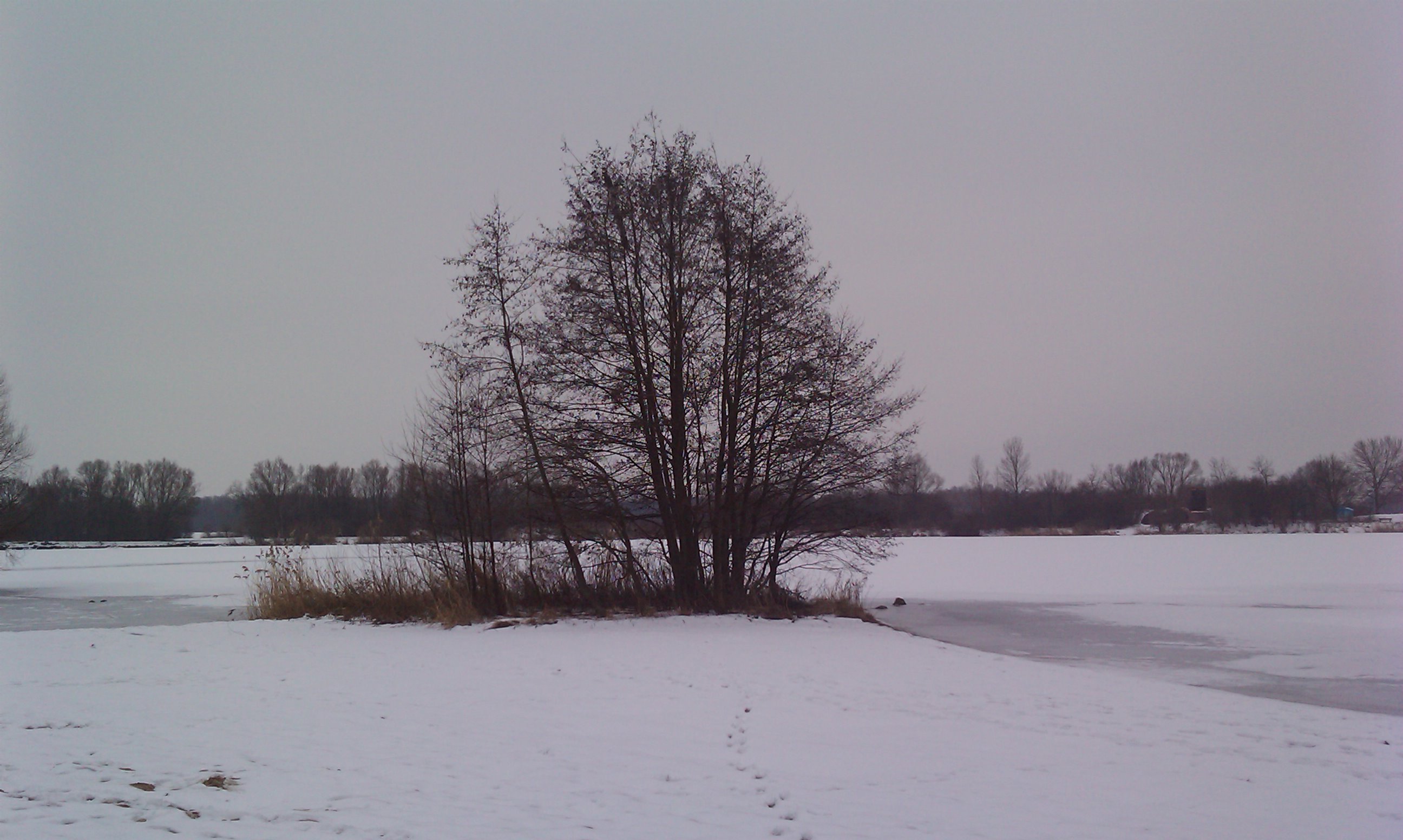IMAG0270.jpg