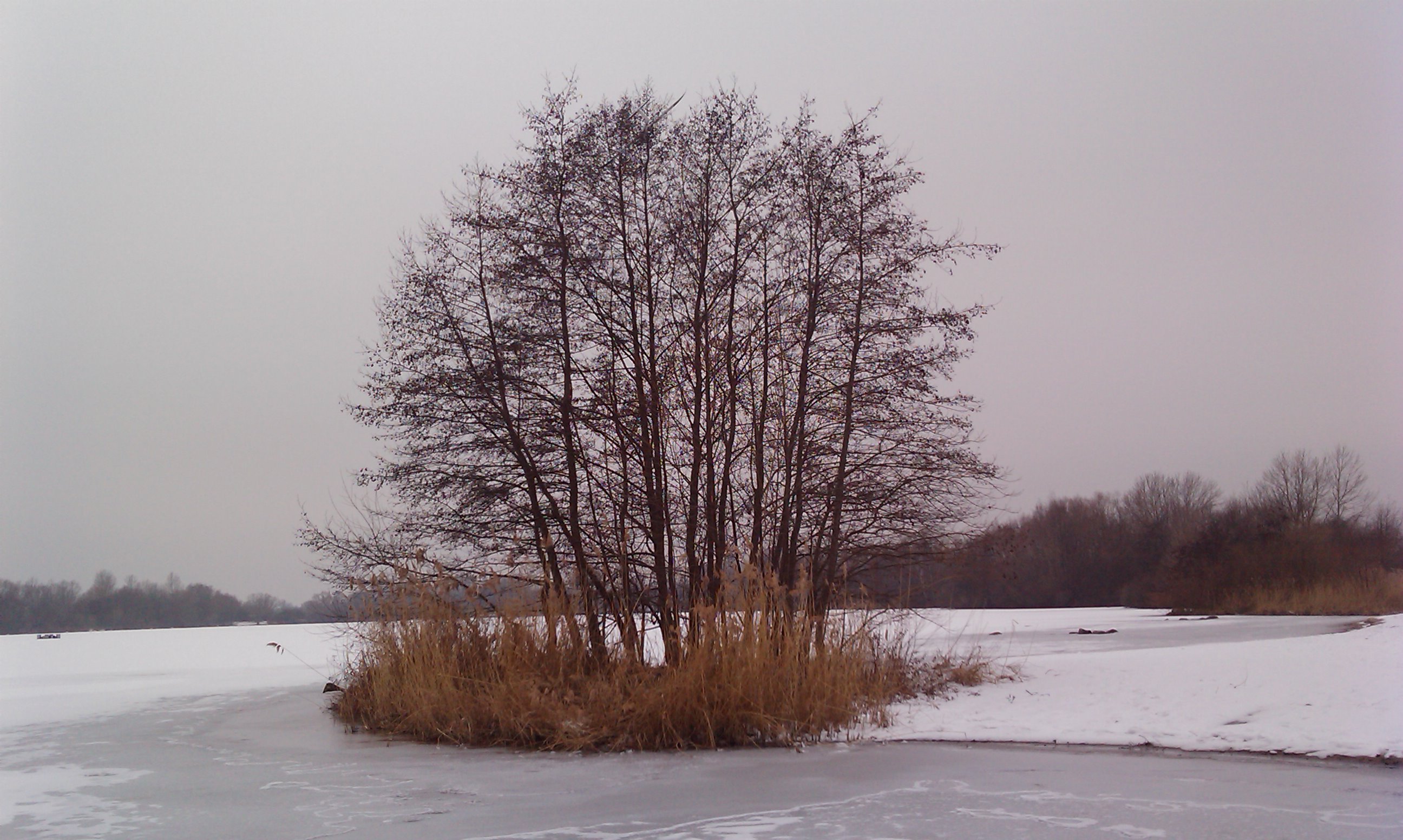 IMAG0278.jpg