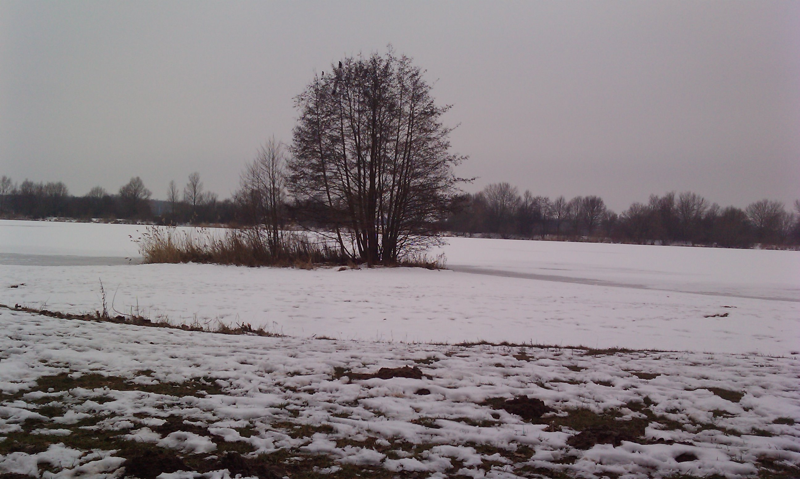 IMAG0277.jpg